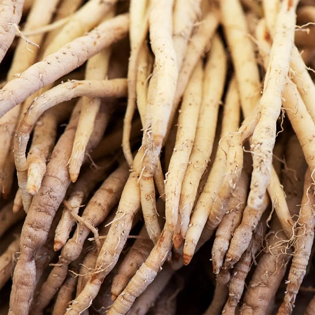 What are adaptogens?