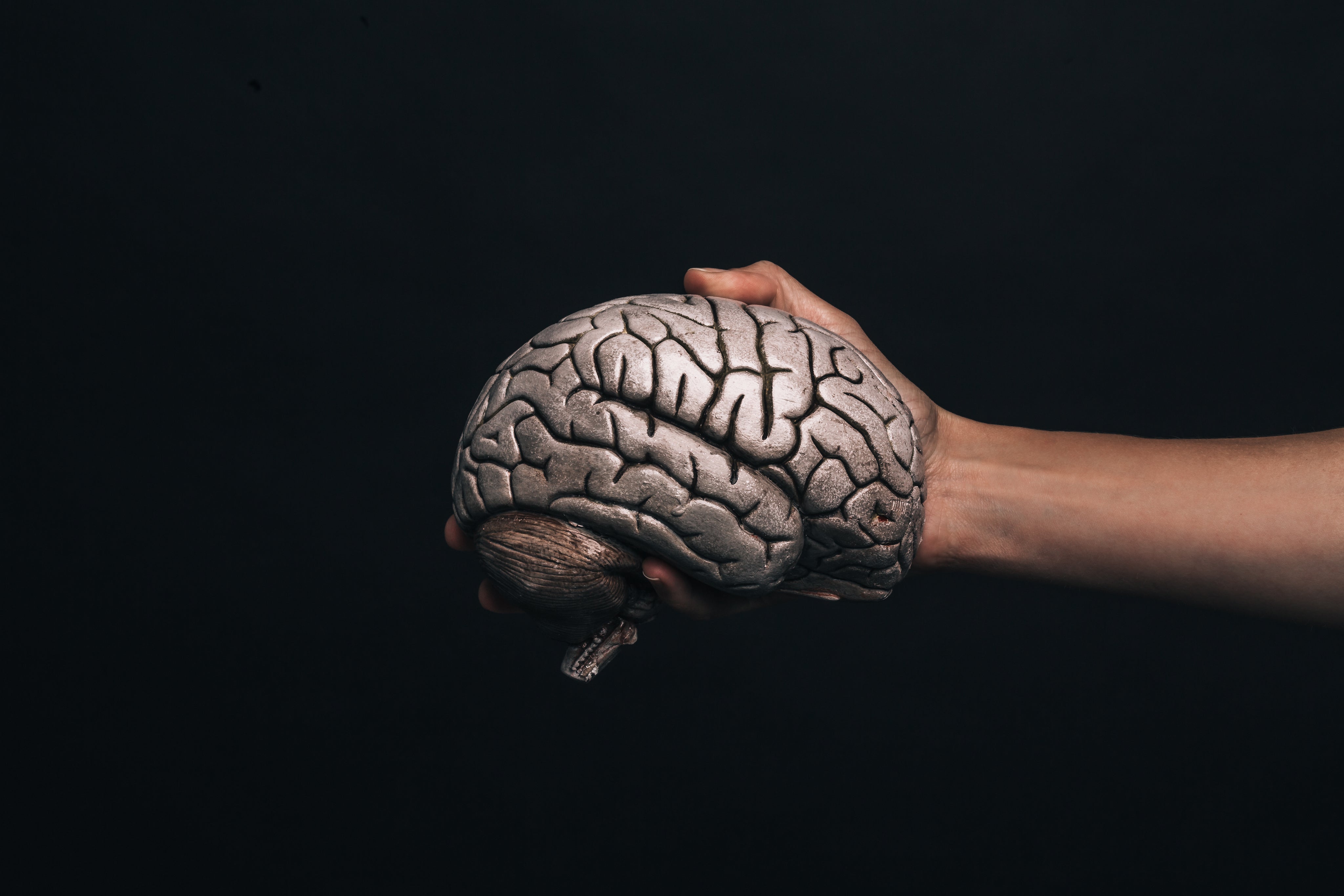 Menopause and Alzheimer’s: What Do We Know About the Hormone Connection?