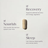 Ashwagandha | Stress Relief Capsules
