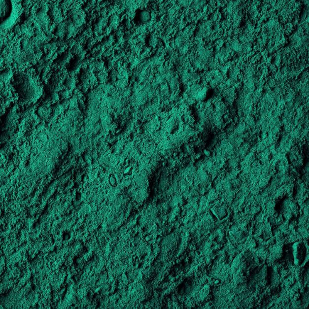 Close-up of green Spirulina powder with a textured surface.