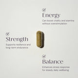 The Alchemist | Stress Relief Capsules