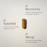Turmeric Root | anti-inflammatory Capsules